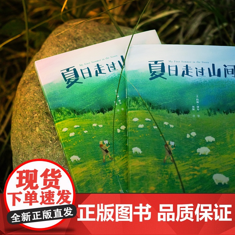 夏日走过山间 20世纪自然文学创作开道者约翰·缪尔倾情之作 开启自然文学创作的新方式 果麦出品 新老版本封面随机发高清大图