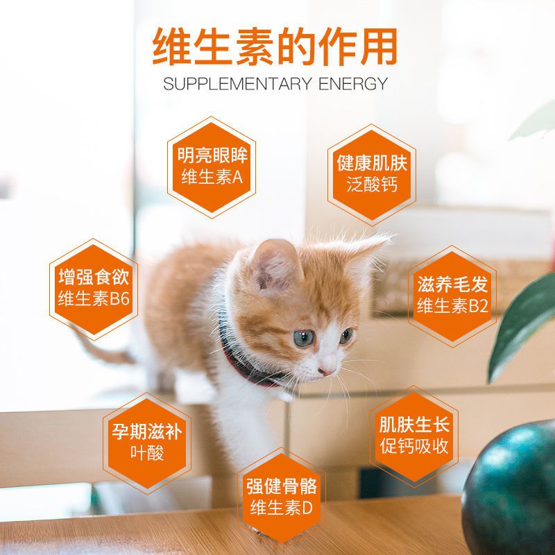 普安特复合维生素b狗狗皮肤病猫癣掉毛脱毛提高免疫力调理肠胃 普安特复合维生素b狗狗皮肤病猫癣掉毛脱毛提高免疫力调理肠胃