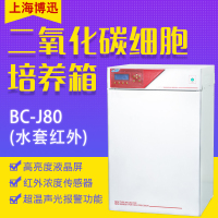 博迅 二氧化碳细胞培养箱(水套红外)BC-J80（单位：台）