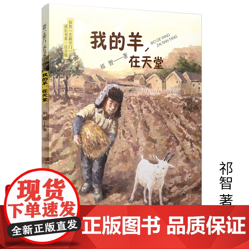我的羊,在天堂/祁智芝麻开门成长书系(注音版)展现乡村童年的纯良与艰辛,困境中的希望与理想之光高清大图