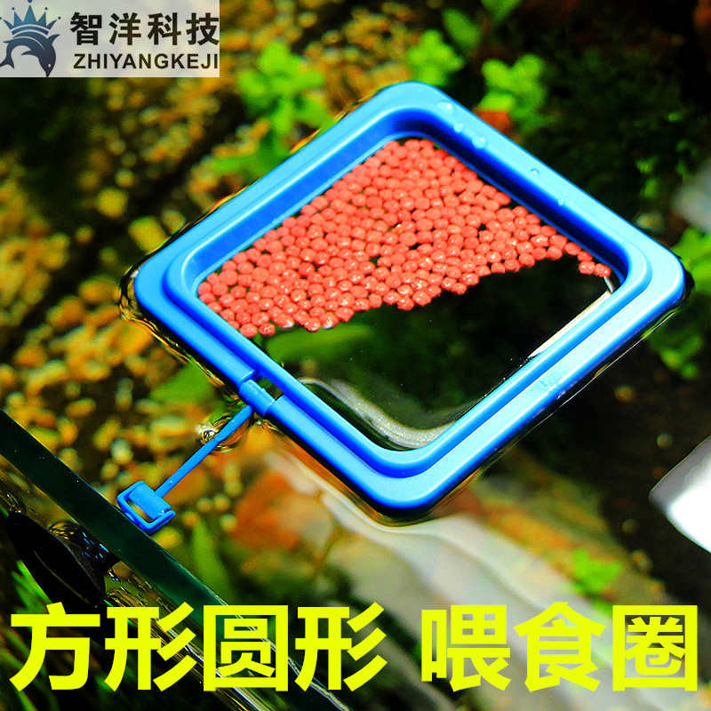 鱼缸喂食器 水族热带鱼投食观赏喂鱼 鱼缸双层投食圈高清大图