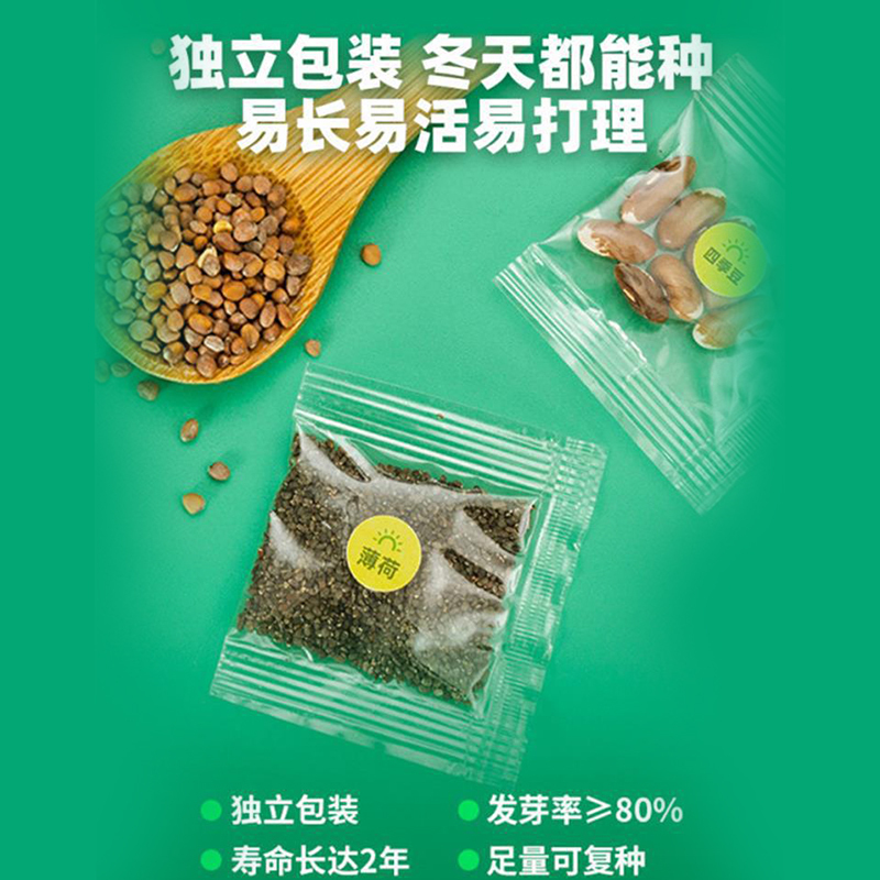 乐缔阳光种植房儿童种菜植物观察盒玩具科学小实验女孩手工diy材料[阳光种植房-基础款]