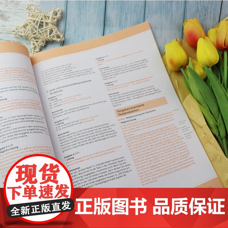 正版 新版德语DSH真题测试 附音频下载 杨建培 译 mit erfolg zur dsh B2-C2 同济大学高清大图