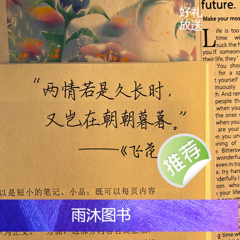 [荆霄鹏4本]林徽因+纳兰性德+飞花令+佳文如梦(赠钢笔+墨囊+1笔6芯) [正版]墨点荆霄鹏楷书行楷字帖练字成年男生女