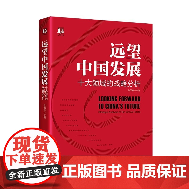 远望中国发展——十大领域的战略分析 中国式现代化行动指南 张国有深入现实亲近问题展望未来倾力求解探索实现中国式现代化路线高清大图