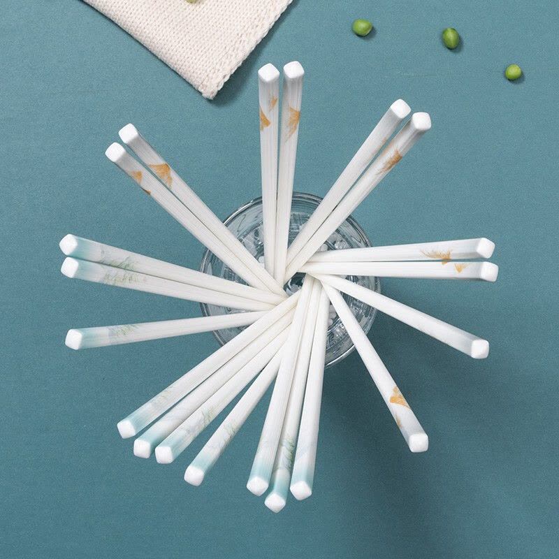 德铂(Debo)赫迪拉赫迪拉筷子防滑防霉耐高温十双装家用陶瓷筷子DEP-790图片