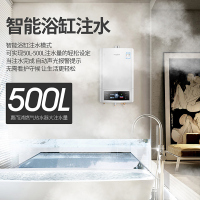 Whirlpool/惠而浦燃气热水器16升JSQ30-T16J 恒温变升 智能防冻 C0报警 水气双调 天然气