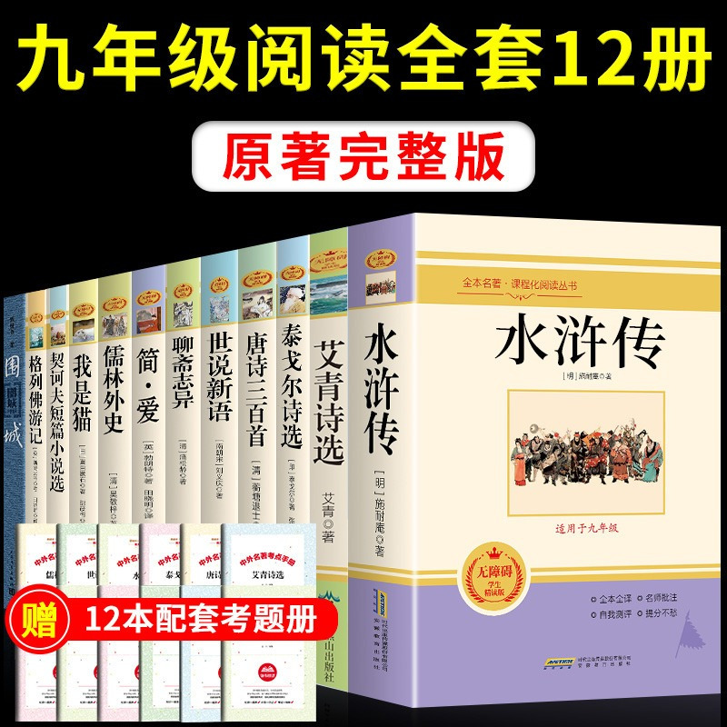 [九年级下]简爱 [正版]人教版九年级上下册简爱和儒林外史水浒传艾青诗选唐诗三百首世说新语聊斋志异书籍原著完整版无删减初