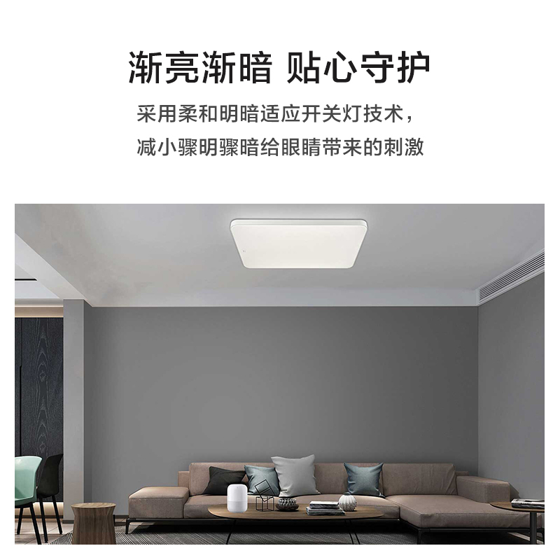 华为智选 智能吸顶灯 128W (客厅)