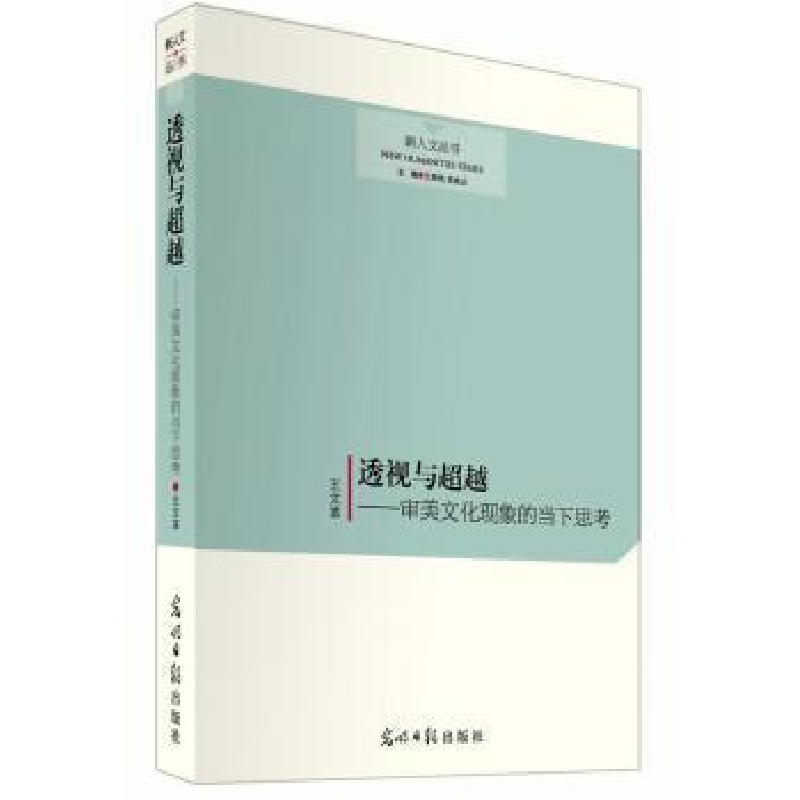 正版新书】透视与超越:审美文化现象的当下思考(用审美的视野观