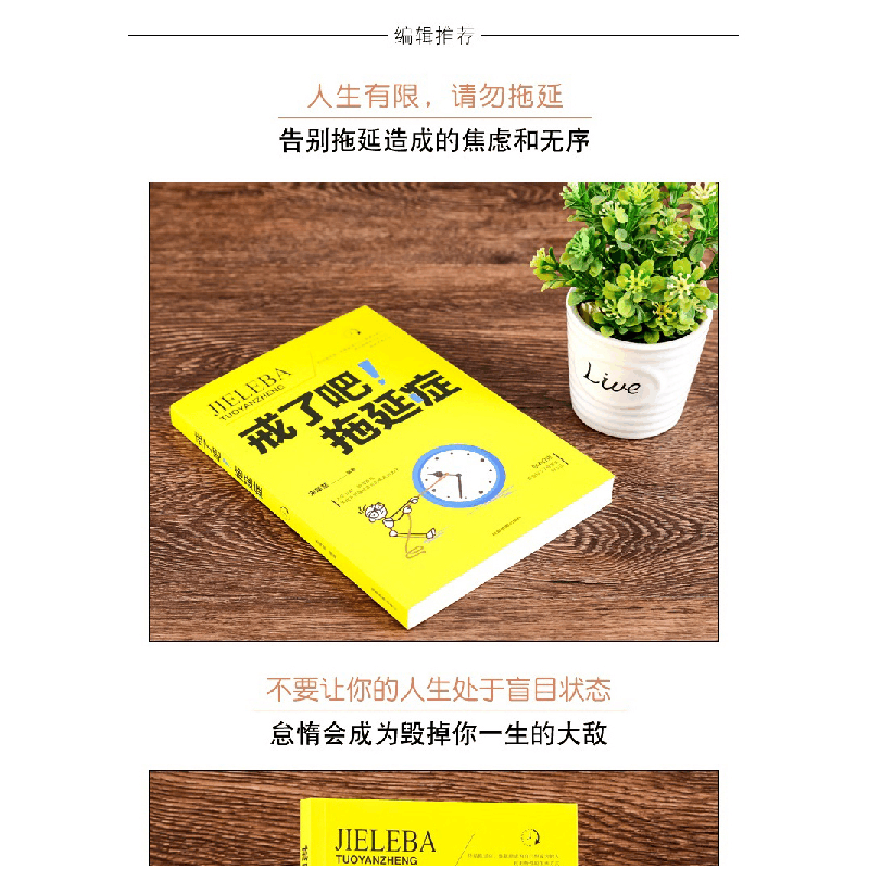 正版新书]戒了吧!拖延症 告别拖延的恐惧和焦虑自我励志心理学图片