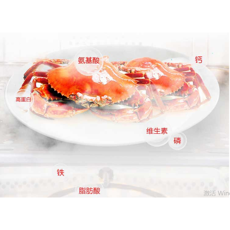 格兰仕电蒸炉CG25T-C63