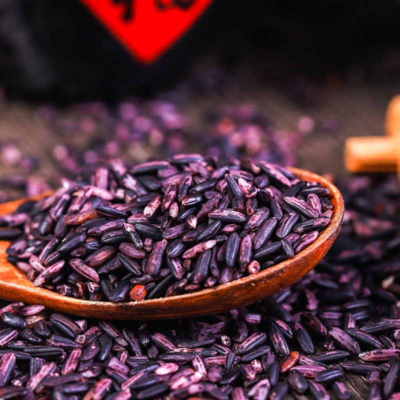 鹤来香紫米500g墨江紫米新米农家粗粮五谷杂粮粥料杂粮粥米五谷杂粮