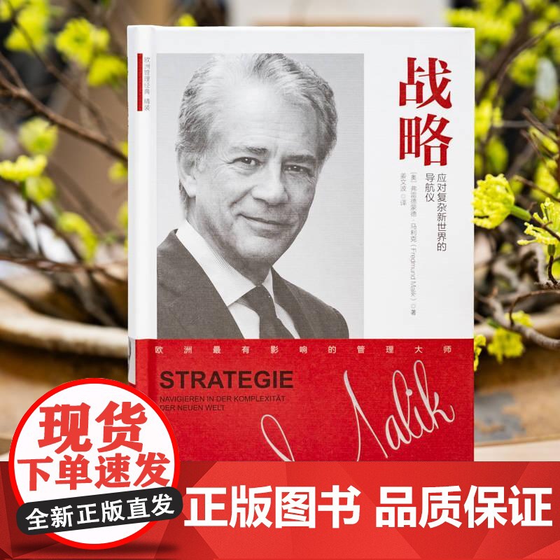 战略应对复杂新世界的导航仪 弗雷德蒙德马利克著 如何在21世纪的变革大潮中用清晰的战略定位明确组织的发展方向 战略管理书高清大图