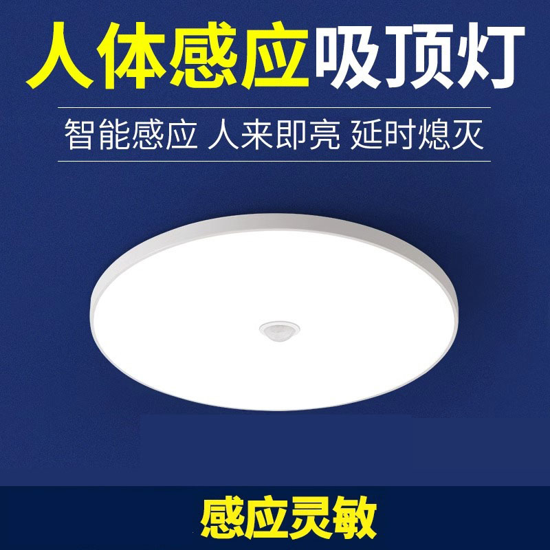 LED感应吸顶灯楼道楼梯过道家用入户走廊吸顶灯 20W白光-23CM(雷达感应+带光控)