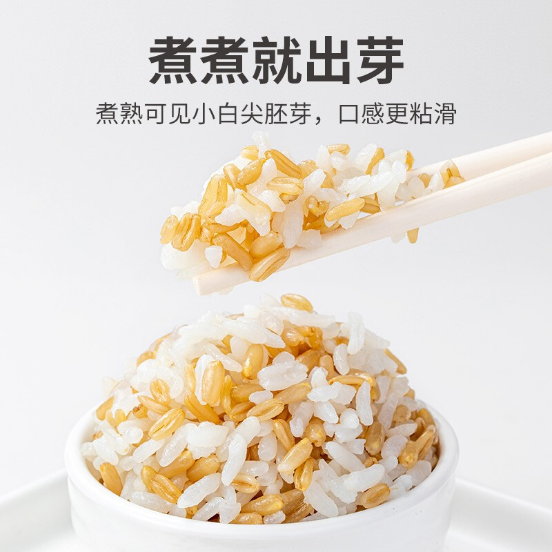 方家铺子 代餐五谷杂粮粗粮有机燕麦450g/米砖高清大图