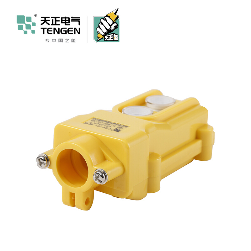 天正电气 COB 复位型 塑料 1对 上下 08010010001 按钮开关