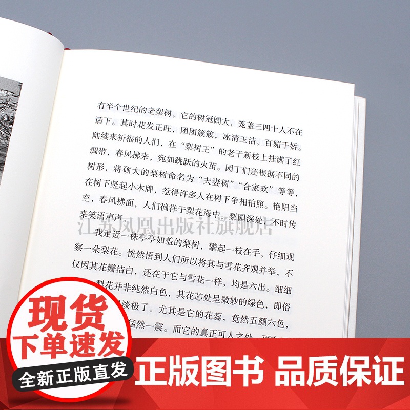 茗花斋杂俎 凤凰枝文丛 32开西式精装 古代文学文化随笔高清大图