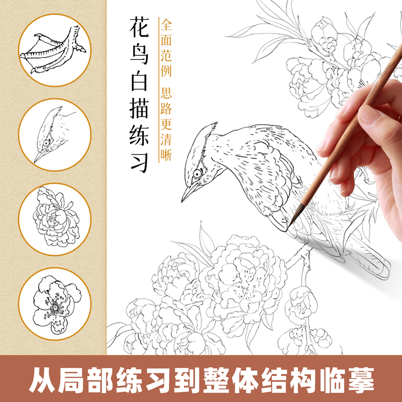 [单本]中国画白描 花鸟鱼虫篇 [正版]中国画白描描摹本六册 工笔画白描底稿临摹画册 动物人物花卉山水书法控笔国画入门高清大图