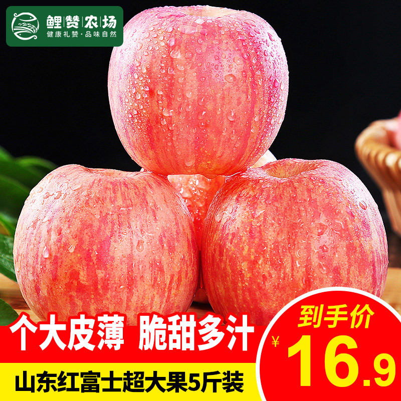店长力荐 山东红富士苹果水果超大果净重4 8斤果径85mm以上新鲜水果苹果个大皮薄脆甜多汁星优选报价 参数 图片 视频 怎么样 问答 苏宁易购