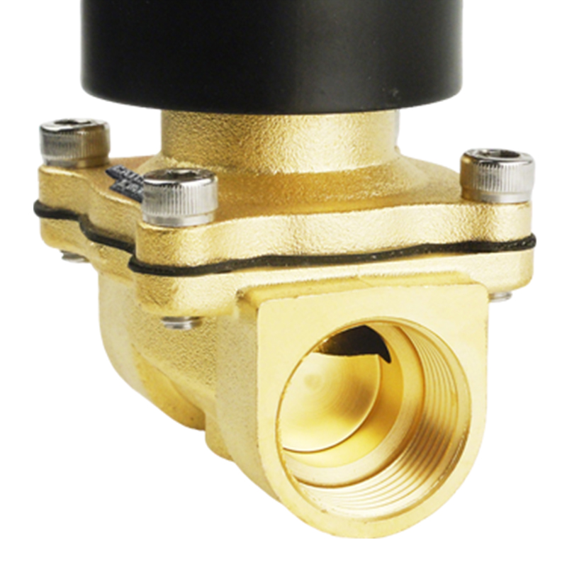 卡西斯顿 管道电磁阀 2W160-15 个高清大图