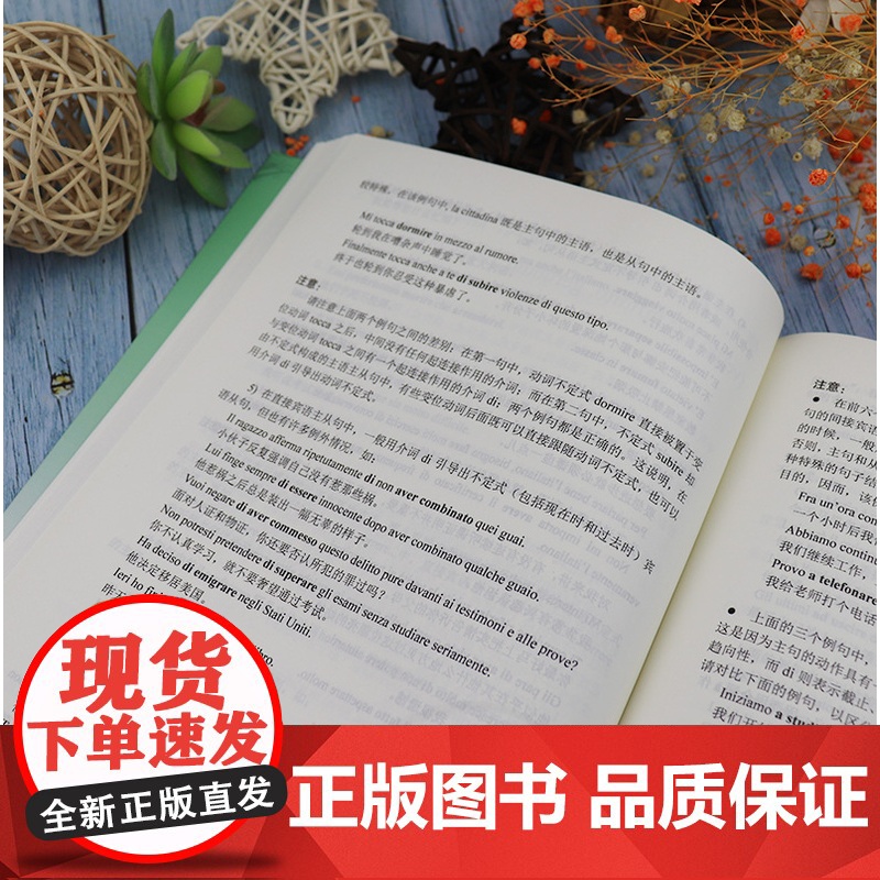意大利语教材意大利语语法王军编著外语教学与研究出版社普通高等教育十一五国家规划教材意大利语语法自学教材书籍高清大图