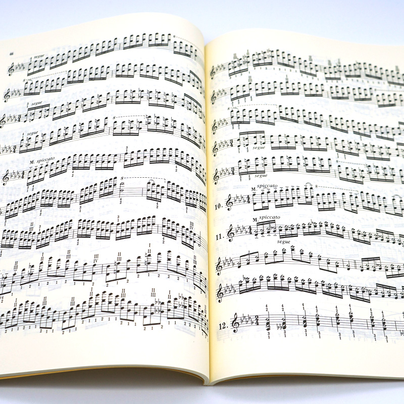 [正版]书店卡尔·弗莱什小提琴音阶体系(每日大小调音阶练习) 艺术音乐类书籍 人民音乐出版社 书店高清大图