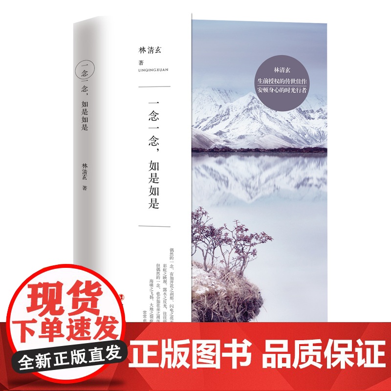 一念一念,如是如是 林清玄著 林清玄散文作品集 林清玄散文精选高清大图
