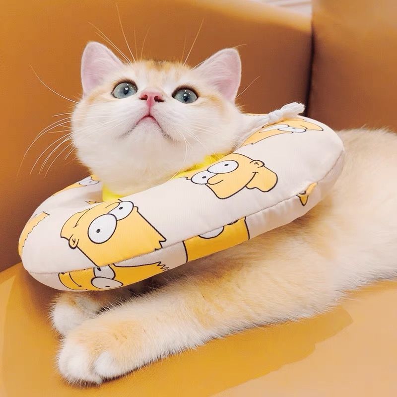 内)夏咪项圈伊丽莎白圈耐脏防水狗狗防舔软伊莉伊利沙白羞耻>800_800