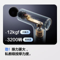 SKG筋膜枪F1MAX（单位：个）