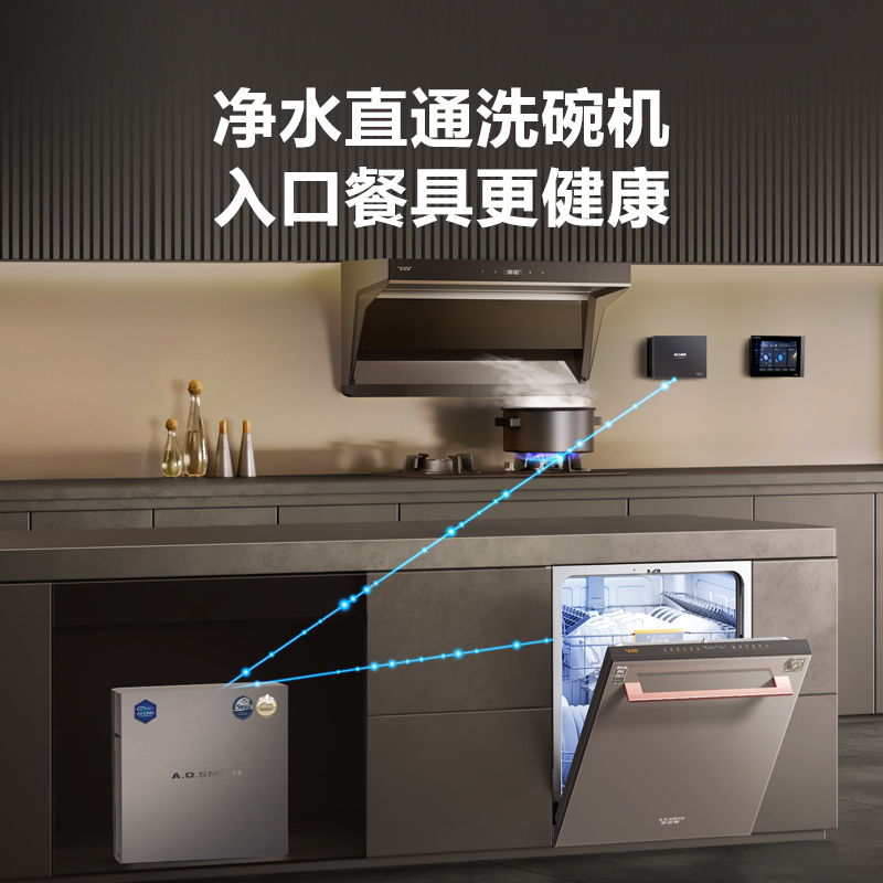 A.O.史密斯洗碗机DWQ15-R3NWi
