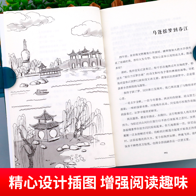 [套装8册]五年级必读课外书 [正版]五年级必读课外书上册 全套八册 老师阅读 落花生桂花雨搭石枕草子白鹭松鼠慈母情深牛