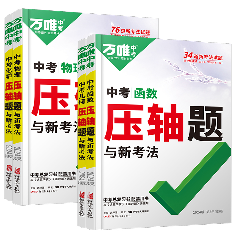数学-函数 初中通用 [正版]2024数学物理化学压轴题专项训练 初二初三初中数学几何二次函数方法大全 八九年级二次函数高清大图