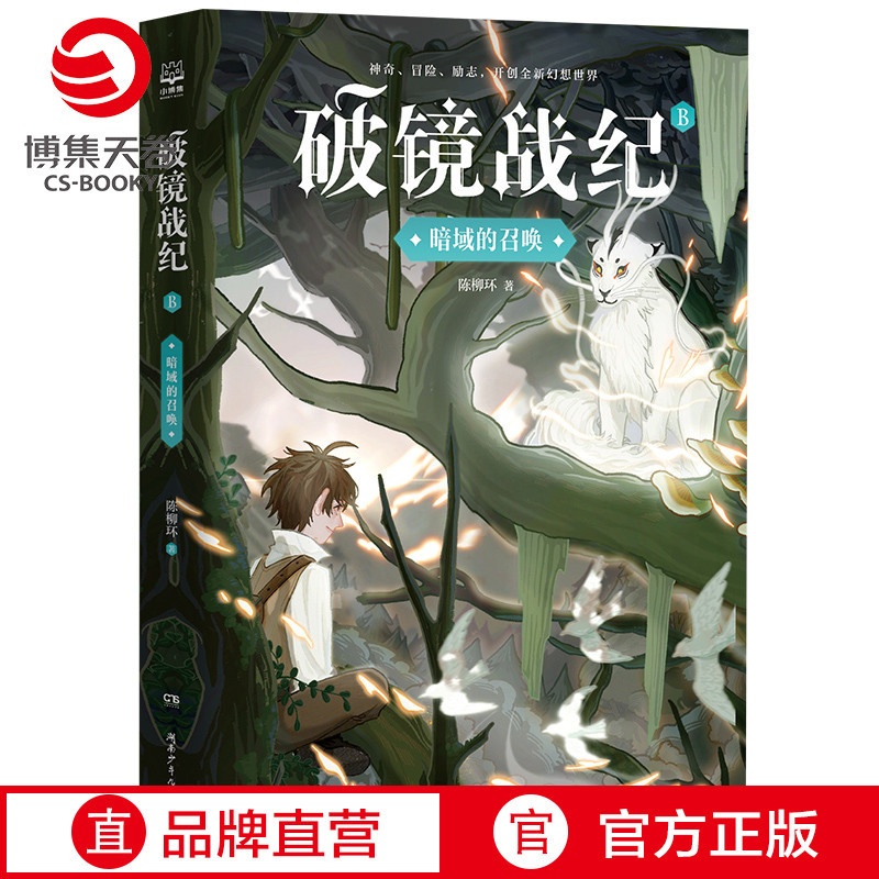 [正版]博集天卷破镜战纪·暗域的召唤 陈柳环 学生课外阅读书籍儿童文学励志冒险奇幻幻想小说书籍 书籍高清大图