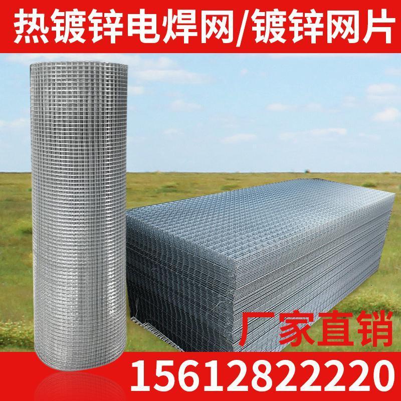 镀锌电焊网片建筑网防护网养殖鸡鸽兔笼钢筋焊接防护服