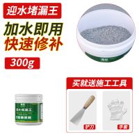 补漏王房顶漏水堵漏王补漏神器水泥地面修补白水泥砂浆快干堵漏王 300g堵漏王[轻微渗水]送工具