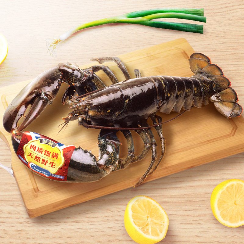 Clearwater加拿大进口鲜活新鲜 大龙虾水产活龙虾1000g/1kg