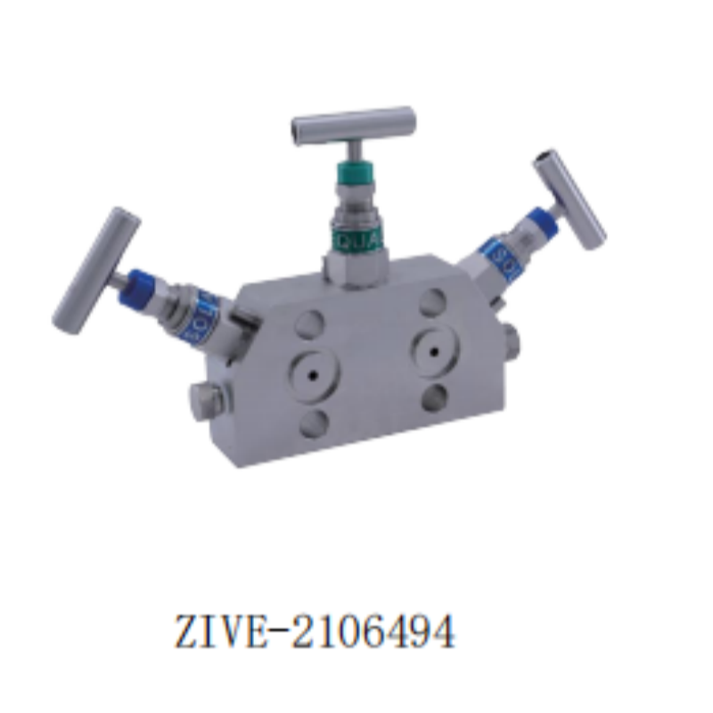 ZIVE三阀组ZIVE-2106494 个高清大图