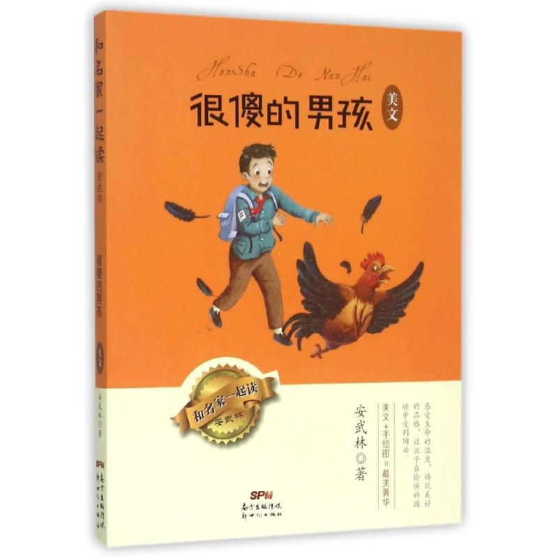 音像很傻的男孩 美文安武林