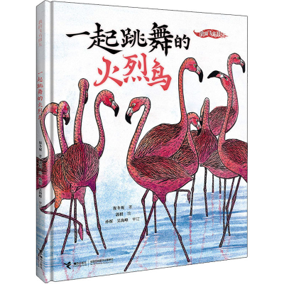 [M]一起跳舞的火烈鸟-9787544878579