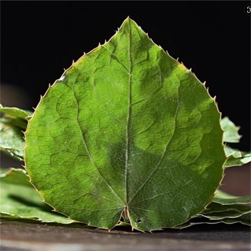 甘肃淫羊藿小叶可搭玛咖肉苁蓉锁阳枸杞泡酒男性泡茶水甄选淫羊藿高清大图
