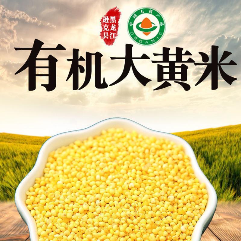 北纬49东北有机大黄米糯黄米2021年新米豆包黄米糜子米年糕400克 有机大黄米400克2袋