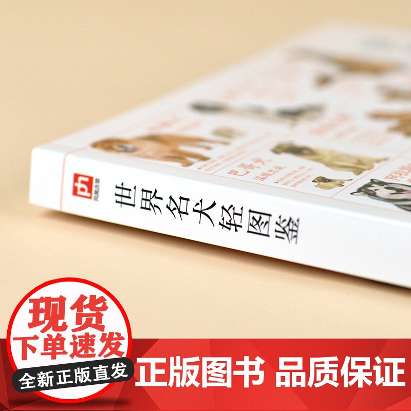 世界名犬轻图鉴 特征描述,血统介绍,饲养指南护理一本通!高清大图