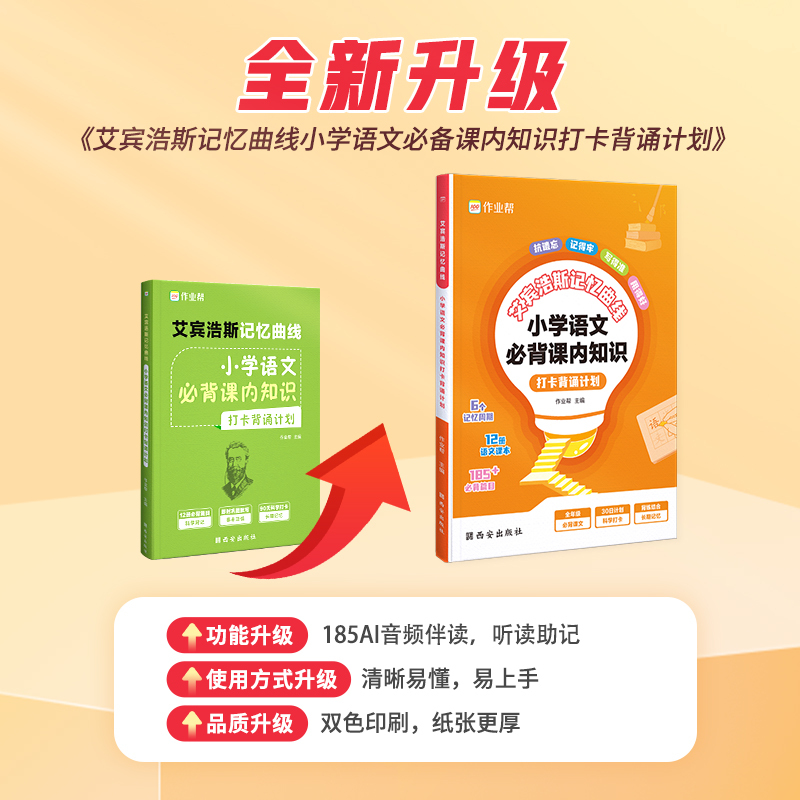 小学英语语法 小学通用 [正版]艾宾浩斯记忆曲线小学语文必背课内知识打卡背诵计划语文课内知识大全小学生练习本默写复习计划
