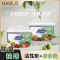 [补贴10%]1盒装120g[进口原料] 冰箱除味剂去味净化器臭氧活性炭吸味除异味盒家用除臭剂祛味神器