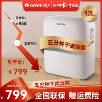 格力(GREE)抽湿机/除湿机 除湿量12升/天 家用轻音卧室办公室地下室低噪干衣除湿器长效定时 (DH12EN)