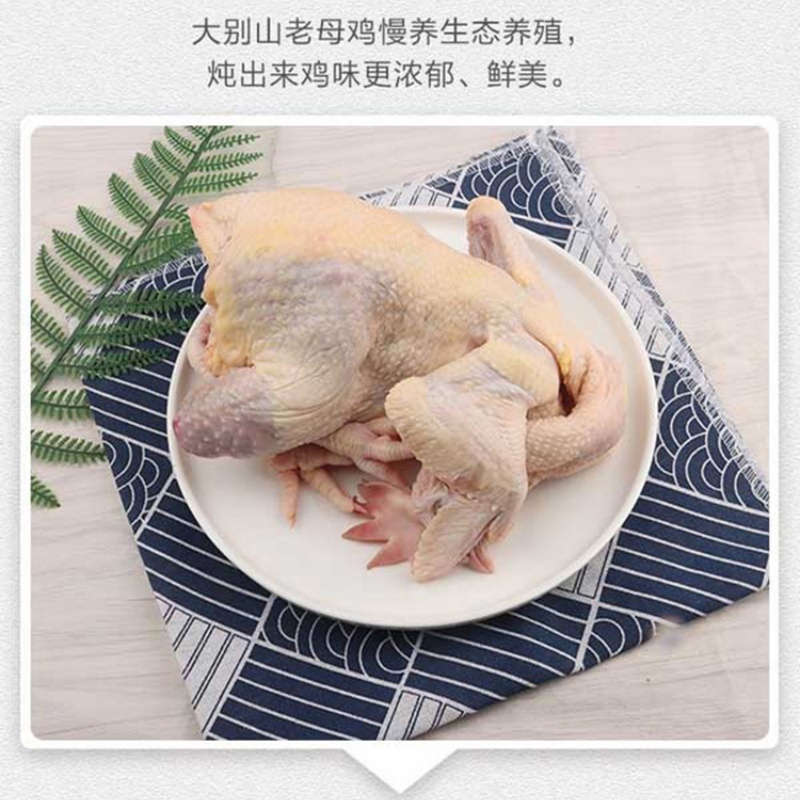 清美精选家禽组合498型A高清大图