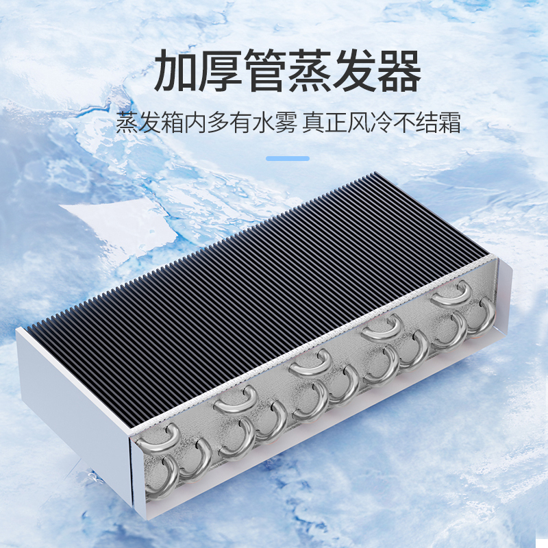 星星(XINGX)饮料展示柜冷藏展示立式冰柜饮料啤酒保鲜展示柜透明玻璃单门展示 冷藏柜 LSC-303G