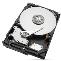 希捷(Seagate)6TB 256MB 7200RPM 网络存储(NAS)硬盘 SATA接口 希捷酷狼IronWolf系列(ST6000VN0033)