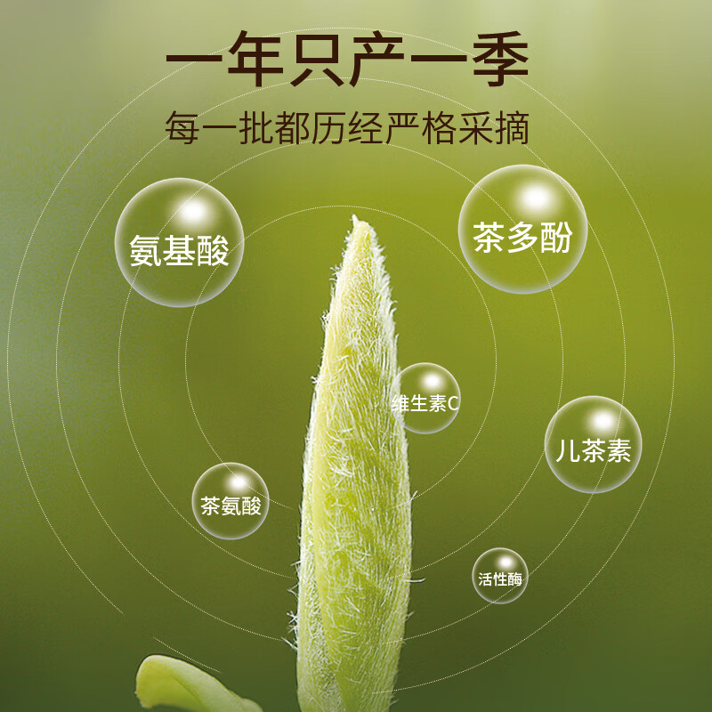 华祥苑 雅士·凤凰单丛 潮汕凤凰单枞特级茶叶 100g高清大图